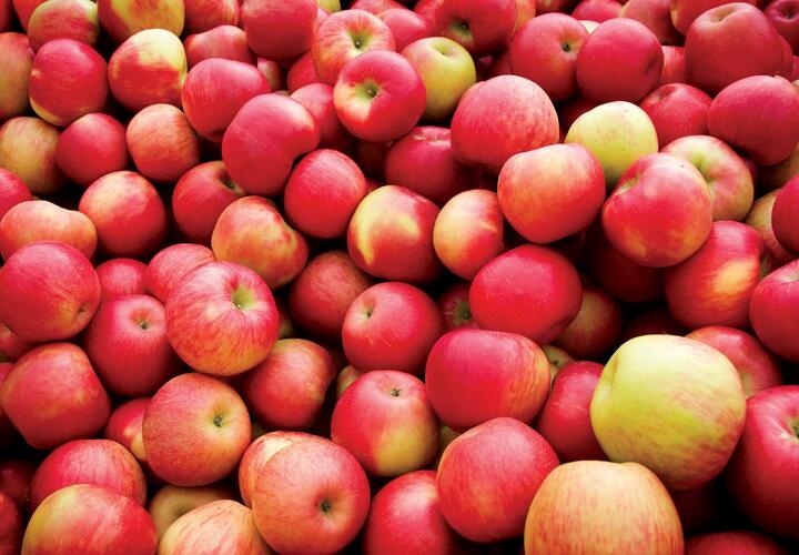 В Краснодаре обнаружили более 200 килограммов санкционных яблок