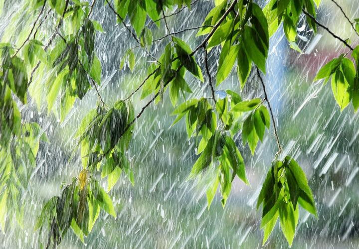 В Краснодарском крае четверг пройдет под знаком дождя
