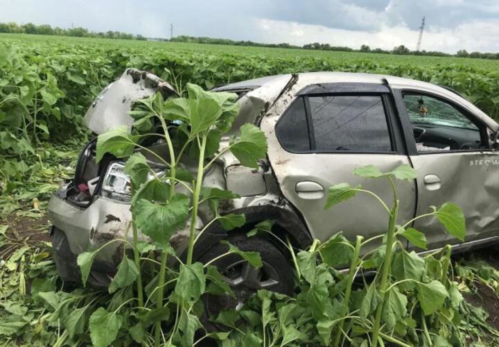 В Краснодарском крае Renault перевернулся в поле с подсолнухами