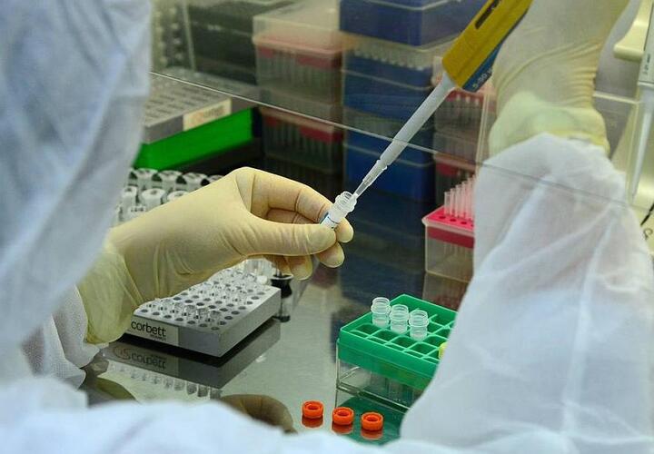 В Краснодарском крае выросло количество заболевших коронавирусом
