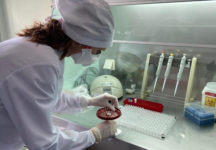 В Краснодарском крае за сутки заболели коронавирусом 151 человек, скончались – 15