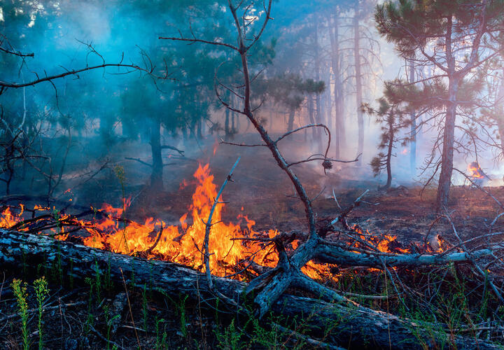 На Кубани сохраняется высокий риск возникновения пожаров