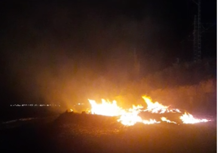 Не заморачиваясь: в поселке Шепси Туапсинского района запалили пляж ВИДЕО