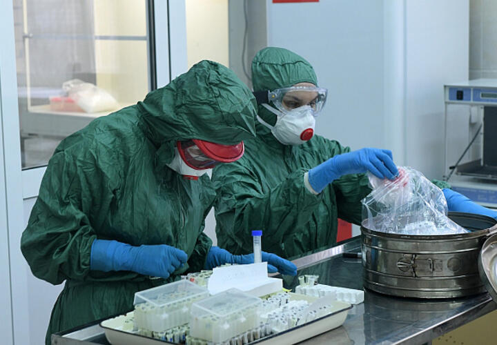 В Краснодарском крае за сутки заболели коронавирусом 231 человек, скончались - 26