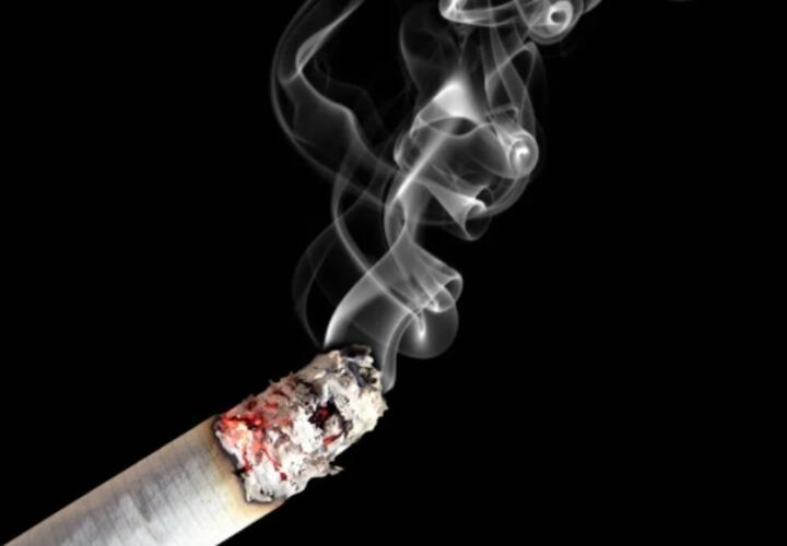 В России предложили новые меры по борьбе с курением