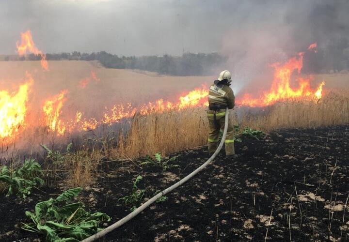 В воскресенье в пригороде Краснодара сгорел гектар поля с пшеницей 