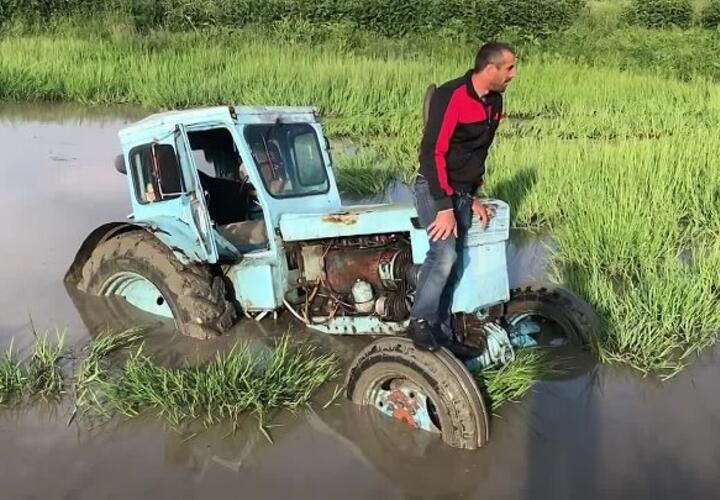 На Кубани последствия от удара стихии негативно скажутся на урожае риса