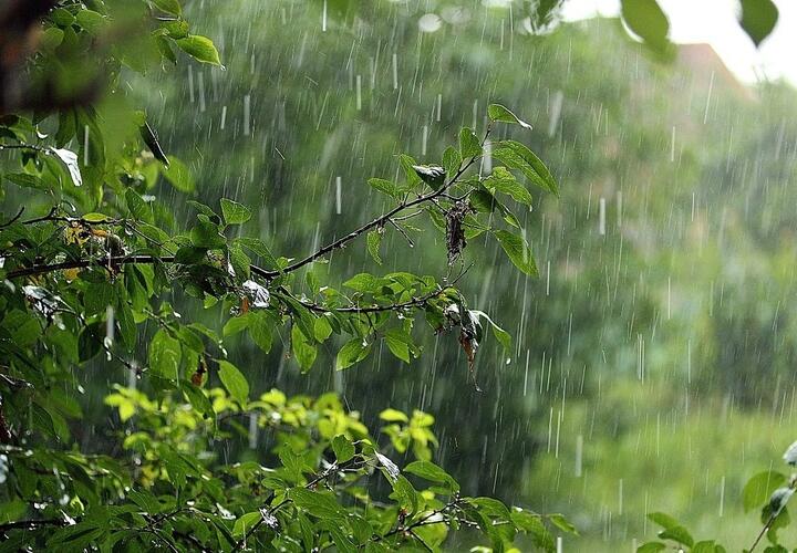В Краснодарском крае сегодня местами пройдут грозы и дожди