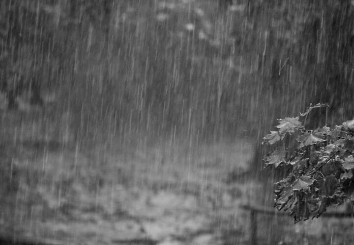 В некоторых районах Кубани пройдут дожди