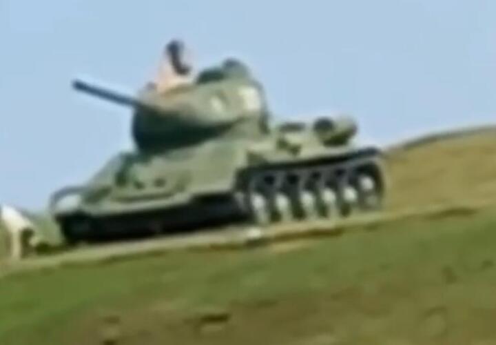 В Темрюке женщина «оседлала» советский танк, спасаясь от агрессивного волкодава