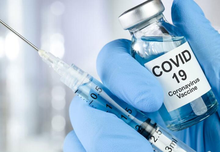 Больше трети жителей Кубани могут потерять работу без прививки 