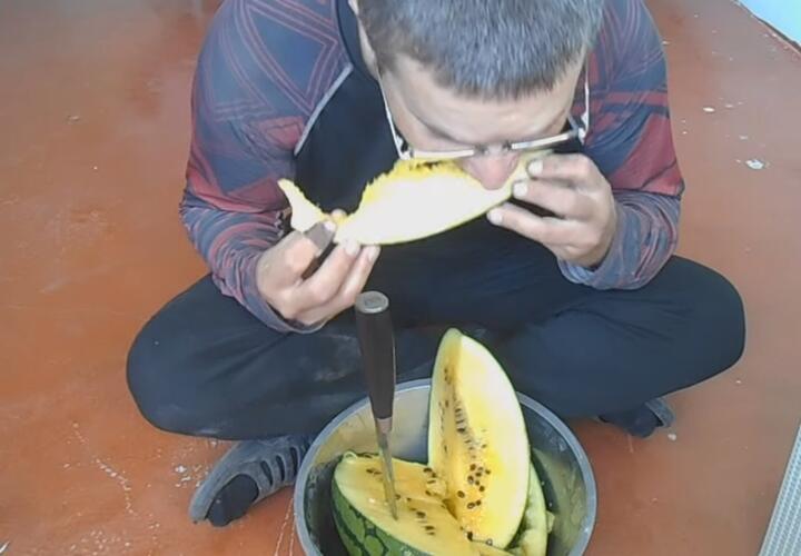 Дезинфектор из Екатеринбурга съел отравленный арбуз 