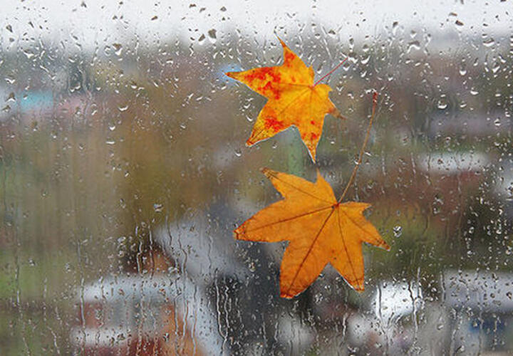 Осень придет в Краснодар уже в пятницу 