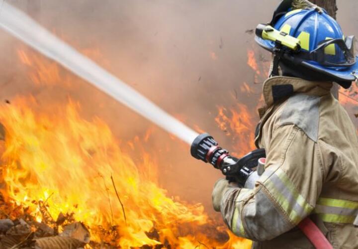 Сотрудники краевого МЧС рассказали чрезвычайной пожароопасности