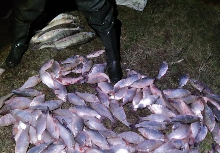 На Кубани браконьер наловил рыбы почти на 300 тысяч рублей
