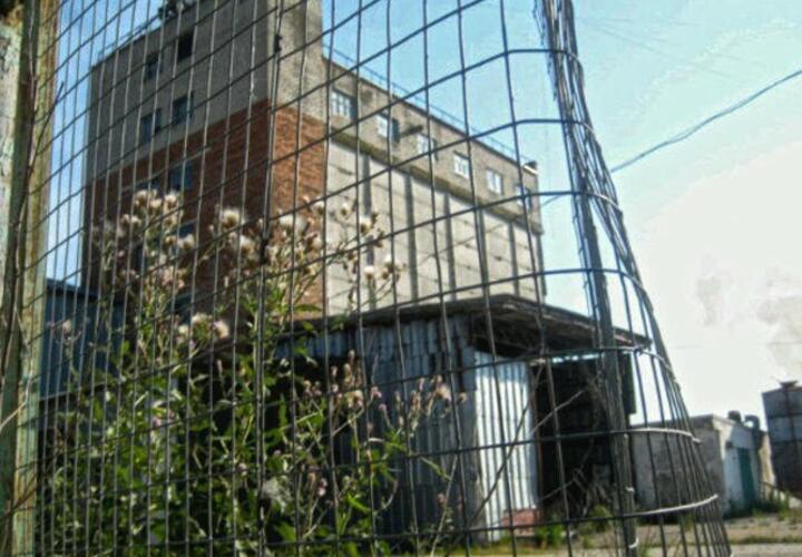 На Кубани имущество Витязевской птицефабрики пустили с молотка