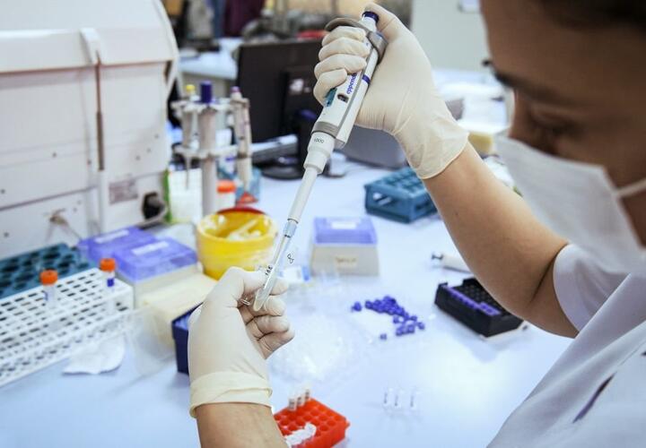 На Кубани почти 300 человек заразились коронавирусом за сутки