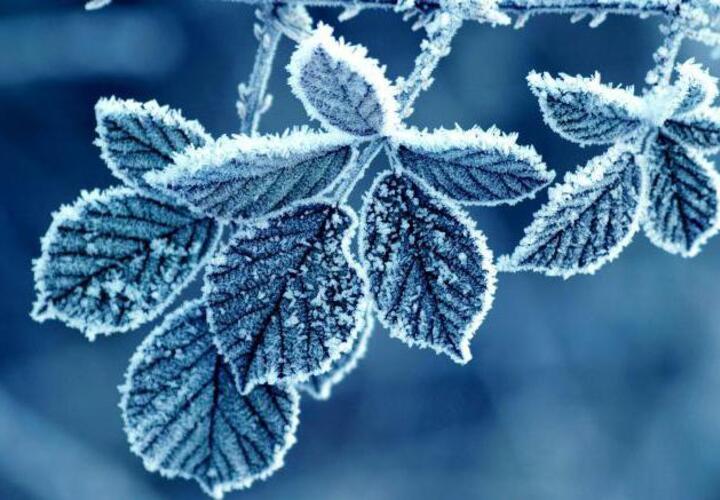 Зима близко: в Краснодарском крае синоптики обещают -7 градусов