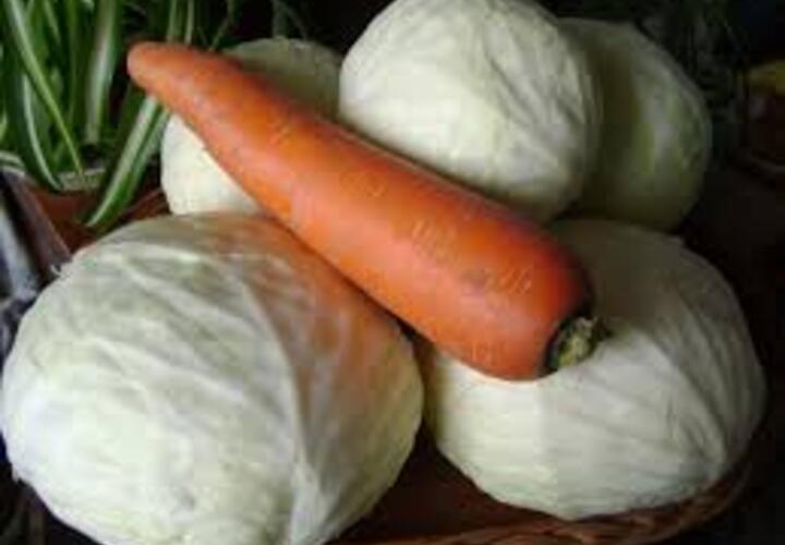 Минсельхоз: морковь подорожала за год на 44 процента, а капуста на 70