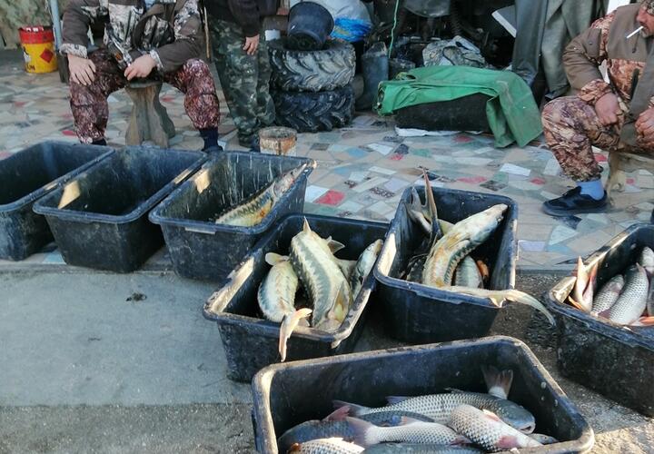 На Кубани браконьеры вместо рыбы выловили штраф более чем на миллион