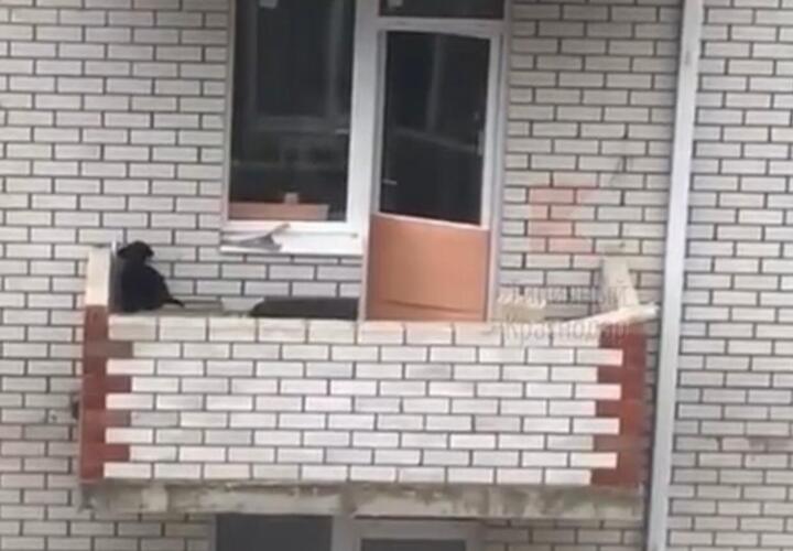 Жители Краснодара обратили внимание на странный балкон ВИДЕО