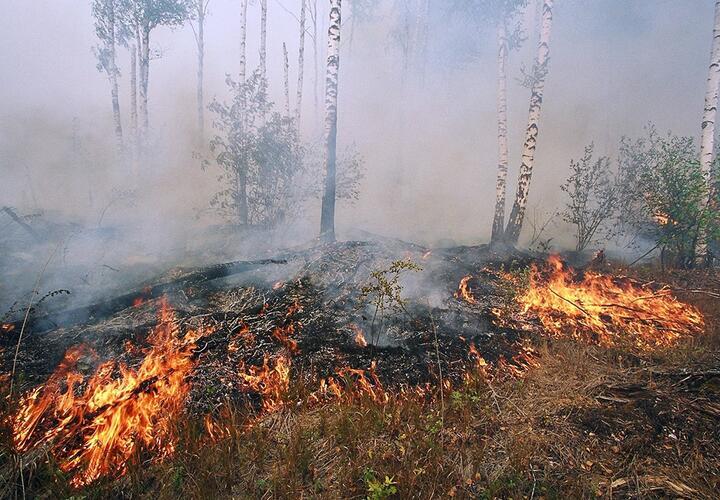 Под Туапсе пожарные всю ночь тушили 3 гектара в лесу