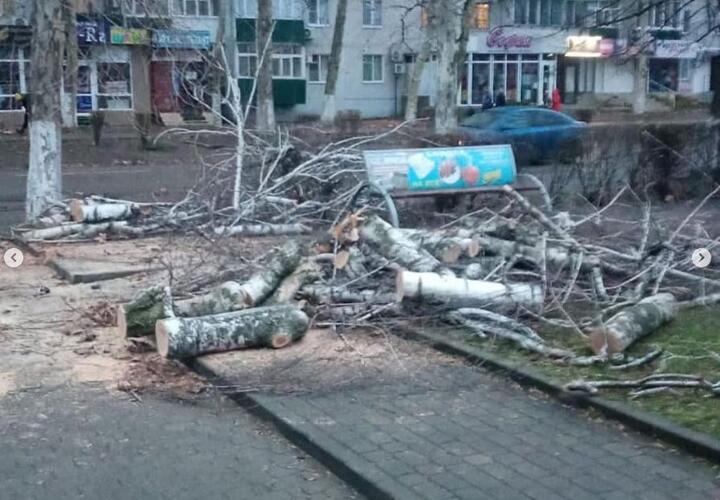 В Белореченске ураган повалил деревья и обесточил котельные