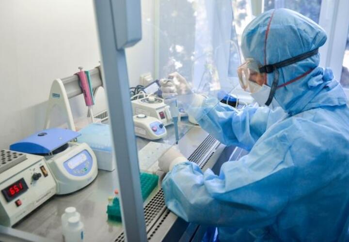 В Краснодарском крае выявили 570 новых случаев коронавируса