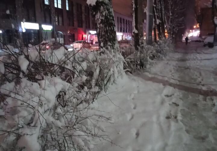 Мэрия Краснодара хвастает уборкой трасс, забыв про пешеходов  ВИДЕО