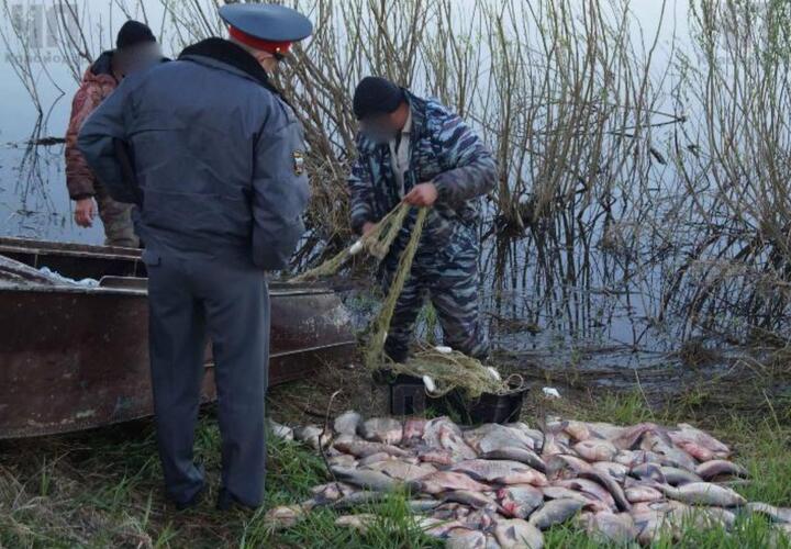 На Кубани мужчине грозит два года за ловлю рыбы
