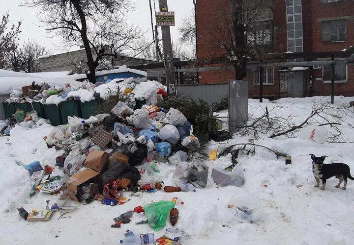 В Краснодаре продолжают нарастать мусорные кучи ВИДЕО