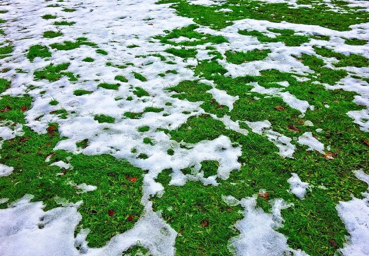 8 марта в Краснодарском крае выпадет снег  