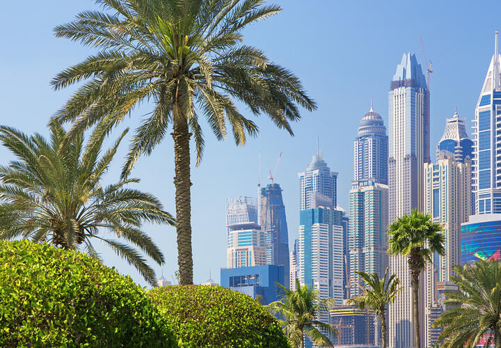 АТОР: отдых в Сочи будет стоить, как тур в Эмираты