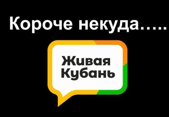Мэрия Краснодара получила иск за загрязнение Кубани, а туристы не едут в Сочи: итоги дня ВИДЕО