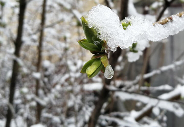 Мокрый снег и гололедица: в Сочи объявлено штормовое предупреждение 