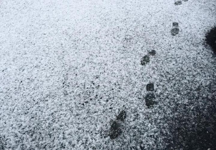 В Краснодарском крае сегодня ожидается мокрый снег