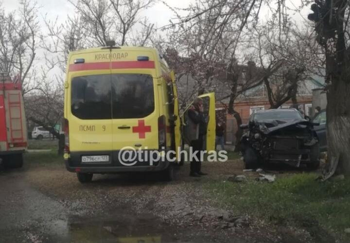 В Краснодаре водитель Hyundai врезался в дерево у дороги