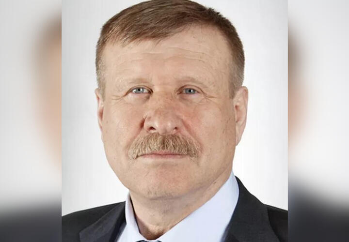 Бывший вице-мэр Геленджика рассказал, как отстреливал собак на Кубани