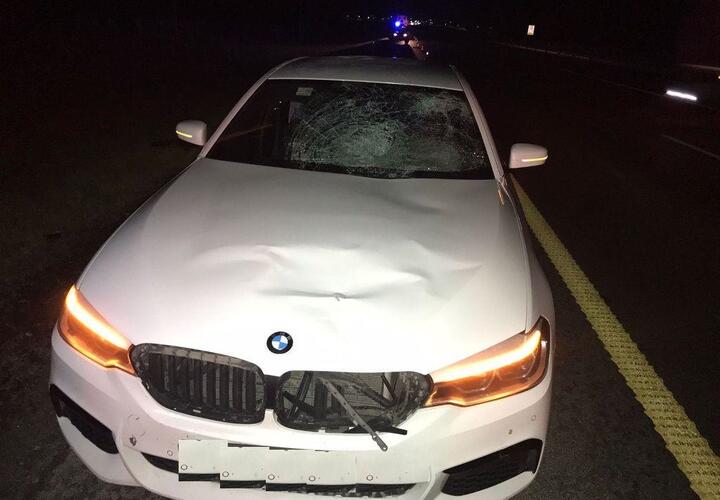 На Кубани водитель BMW насмерть сбил мужчину