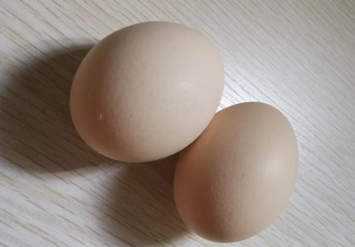 По словам чиновников, Кубань обеспечивает себя местными яйцами на 100 процентов