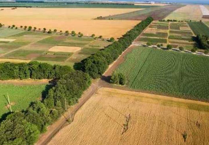 На Кубани 4 тысячи гектаров земли выбыло из сельхозоборота