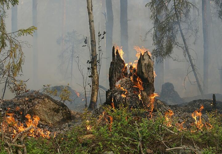На Кубани объявлен самый высокий 5 класс пожароопасности