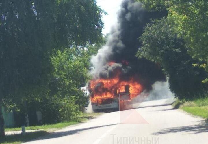 На Кубани пассажирский автобус вспыхнул на ходу и сгорел дотла ВИДЕО