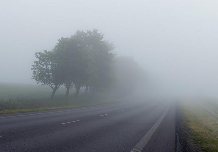 Туман и небольшой дождь прогнозируют сегодня синоптики на Кубани