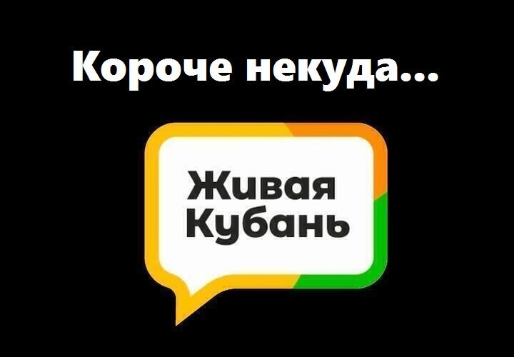 В Белореченском районе новый глава, а в Сочи чуть не затонул катер с людьми: итоги дня ВИДЕО
