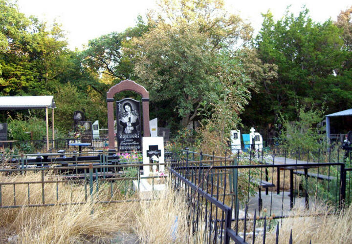 Власти Геленджика предложили живым митинговать около кладбища