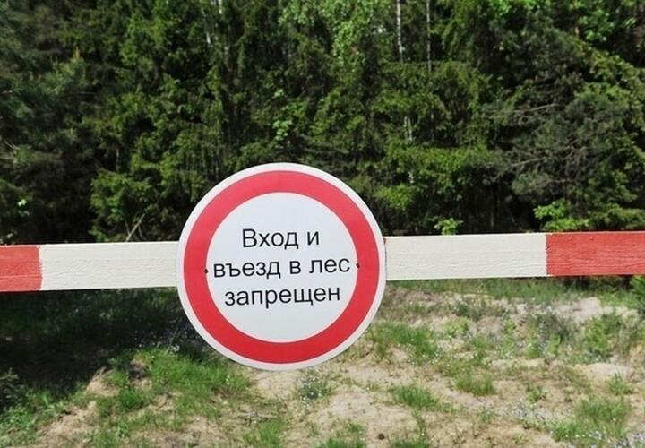 Жителям Кубани запретили ходить в лес почти до конца июня