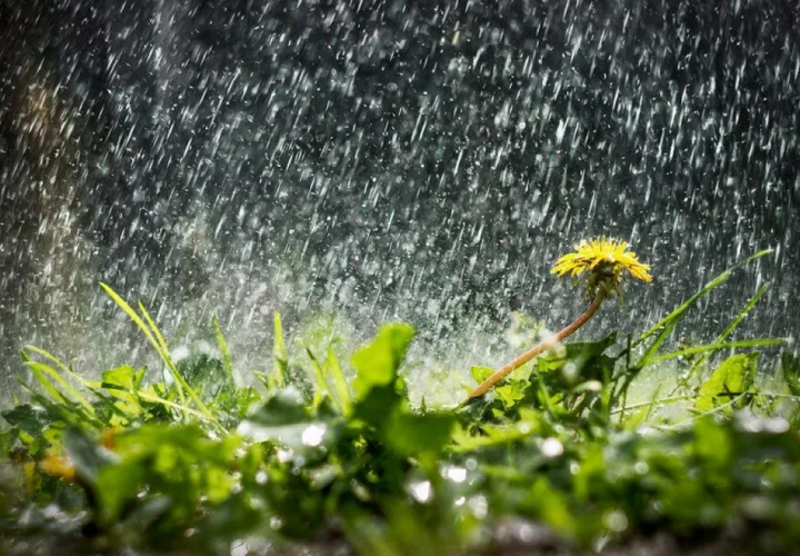 Еще один дождливый день ждет жителей Краснодарского края