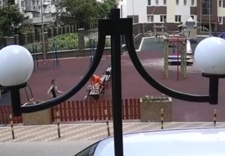 В Краснодаре на детской площадке домашний пес укусил ребенка ВИДЕО