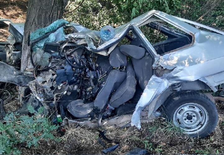 На Кубани "Лада" на скорости врезалась в дерево, трое парней погибли